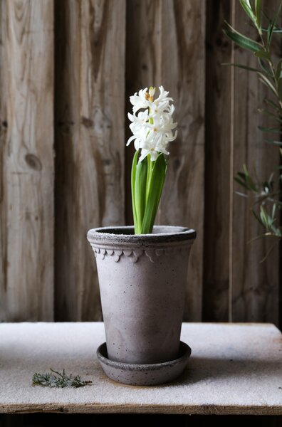 Bergs Potter Terakotový květináč Copenhagen Tall Grey - 10 cm BP113