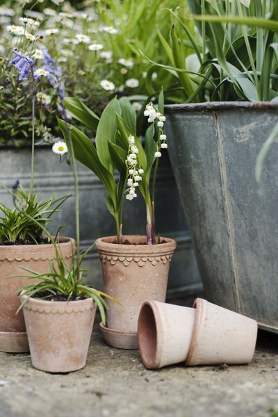 Bergs Potter Terakotový květináč Copenhagen Tall Rosa - 10 cm BP114