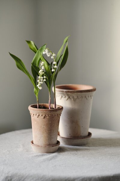 Bergs Potter Terakotový květináč Copenhagen Tall Rosa - 10 cm BP114