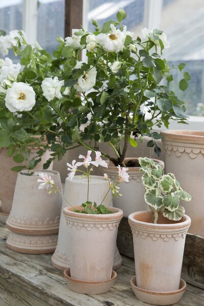 Bergs Potter Terakotový květináč Copenhagen Tall Rosa - 10 cm BP114