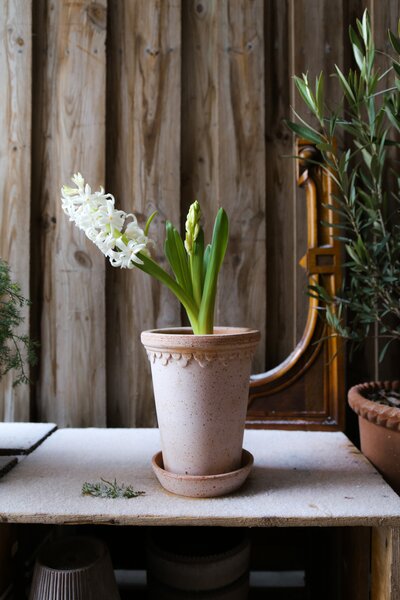 Bergs Potter Terakotový květináč Copenhagen Tall Rosa - 10 cm BP114