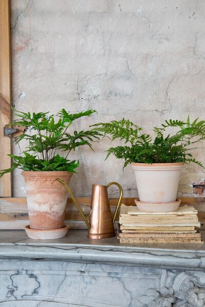 Bergs Potter Terakotový květináč Copenhagen Tall Rosa - 10 cm BP114