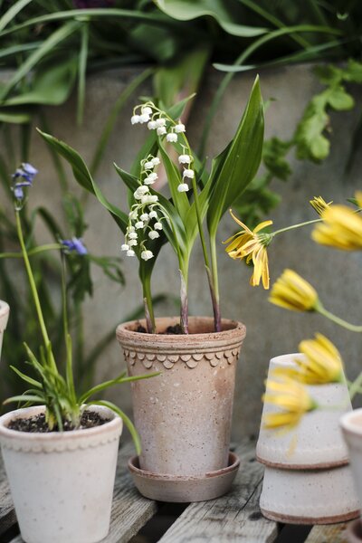 Bergs Potter Terakotový květináč Copenhagen Tall Rosa - 10 cm BP114