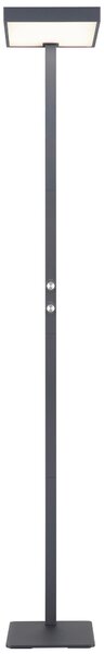 STOJACÍ LED LAMPA, 40/28/184,8 cm Globo - Online Only svítidla, Online Only