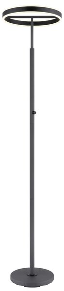 STOJACÍ LED LAMPA, 40/181 cm Globo - Online Only svítidla, Online Only