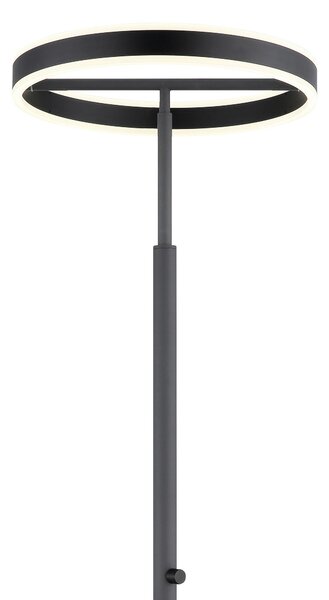 STOJACÍ LED LAMPA, 40/181 cm Globo - Online Only svítidla, Online Only