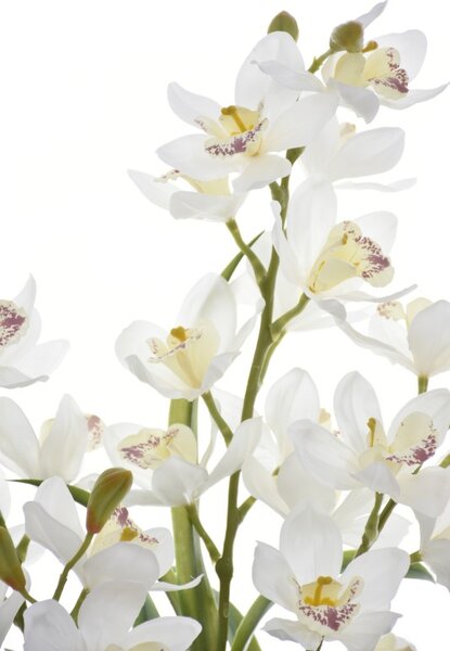 Umělá květina Orchidea v květináči 85 cm, bílá LA726
