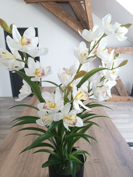 Umělá květina Orchidea v květináči 85 cm, bílá LA726