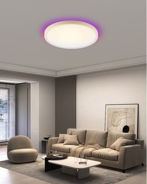 Immax NEO 07169-W60 - LED RGB Stmívatelné svítidlo TUDO 65W/230V Wi-Fi Tuya + DO