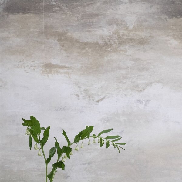 Designers Guild - Cielo Odstín tapety: Jade