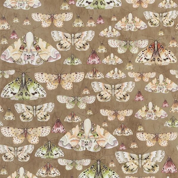 Designers Guild - Issoria Odstín tapety: Rose