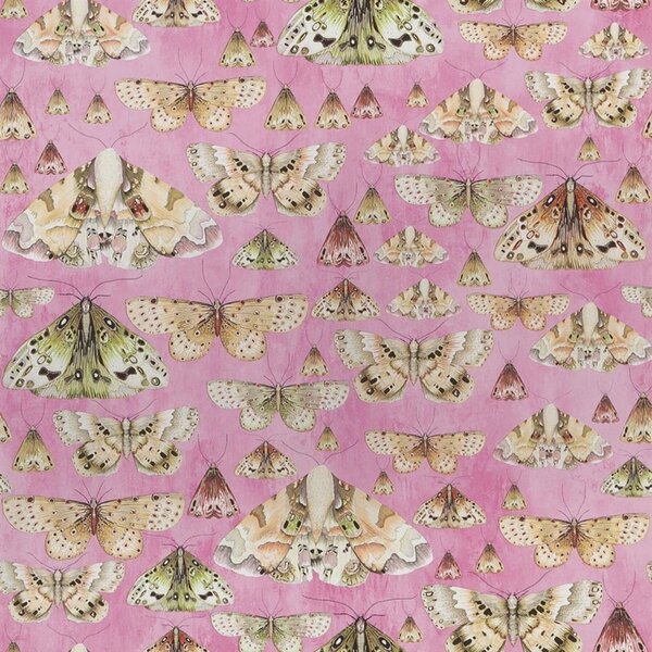 Designers Guild - Issoria Odstín tapety: Rose