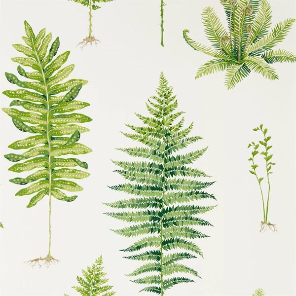 Sanderson Fernery Odstín tapety: Botanical Green