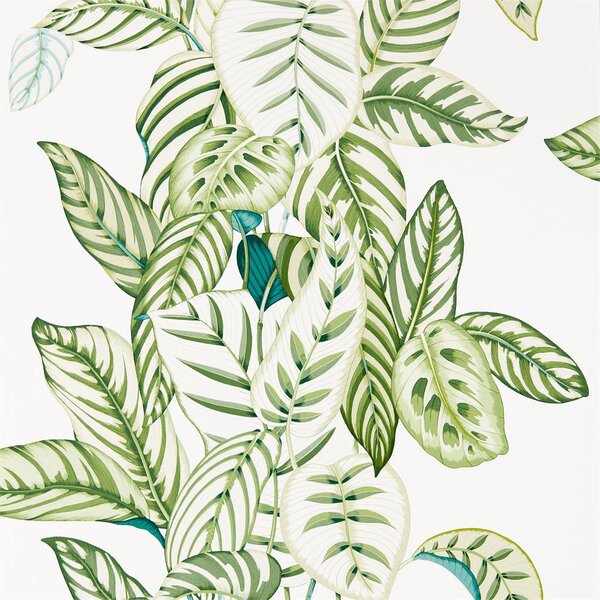Sanderson Tapeta Calathea Odstín tapety: Olive