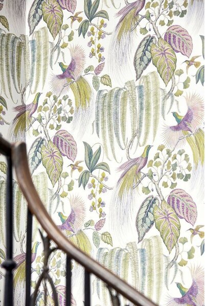 Sanderson Bird of paradise Odstín tapety: Linen
