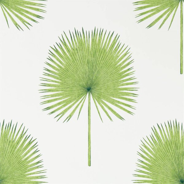 Sanderson Fan palm Odstín tapety: Botanical Green