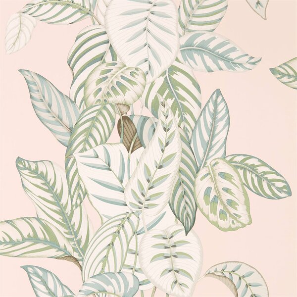 Sanderson Tapeta Calathea Odstín tapety: Olive