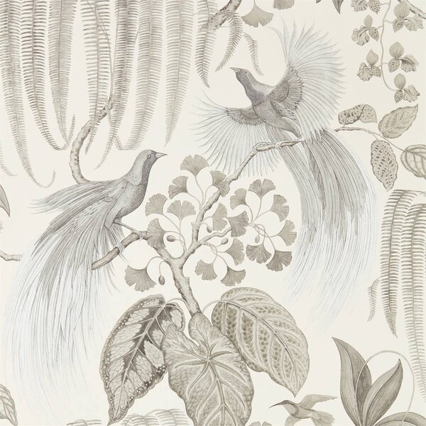 Sanderson Bird of paradise Odstín tapety: Linen