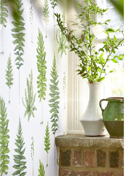 Sanderson Fernery Odstín tapety: Botanical Green