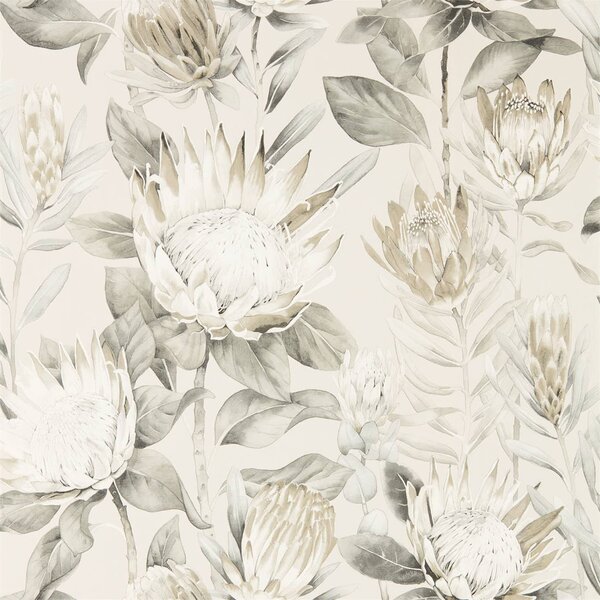 Sanderson King Protea Odstín tapety: Linen/Mica
