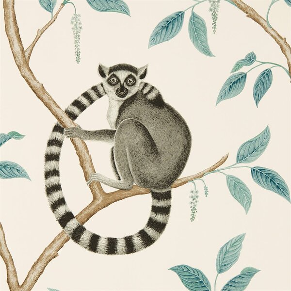 Sanderson Ringtailed Lemur Odstín tapety: Ringtailed Lemur Stone/Eucalyptus