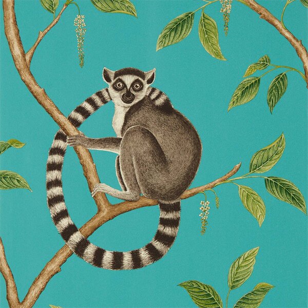 Sanderson Ringtailed Lemur Odstín tapety: Ringtailed Lemur Stone/Eucalyptus