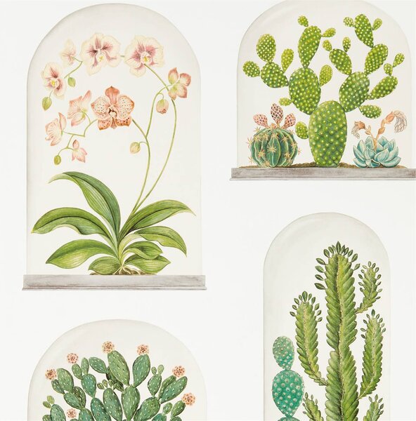 Sanderson Terrariums Odstín tapety: Ink/Multi