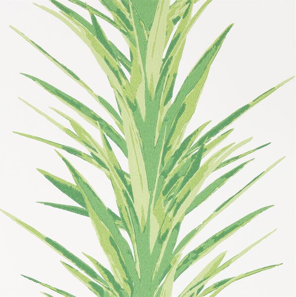 Sanderson Yucca Odstín tapety: Botanical Green