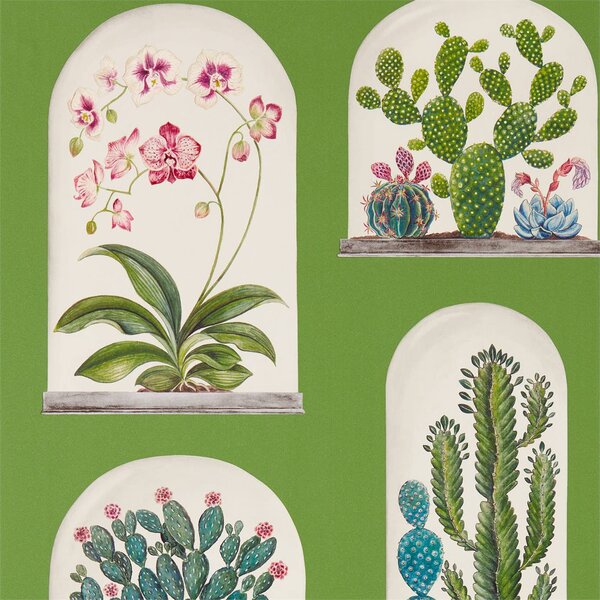 Sanderson Terrariums Odstín tapety: Ink/Multi