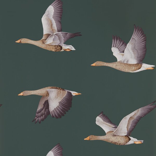 Sanderson Tapeta Elysian Geese, příroda, kolekce Elysian Odstín tapety: Briarwood