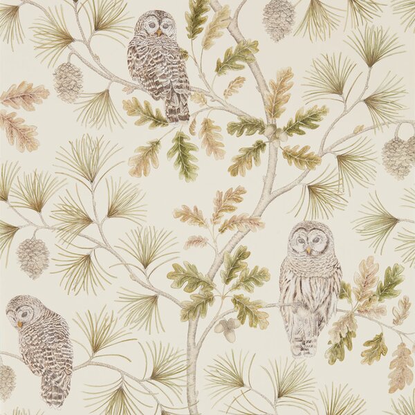 Sanderson Owlswick Odstín tapety: Linen