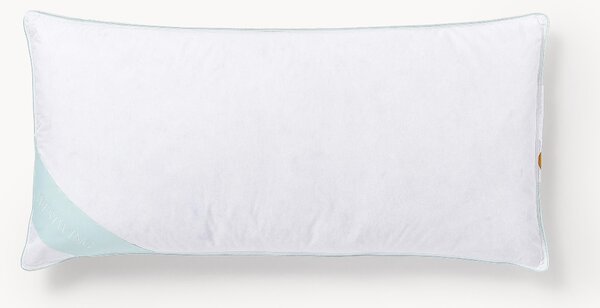 Polštář z peří a prachového peří Comfort, měkký
