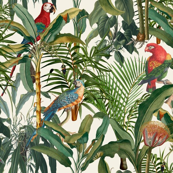 Mind the Gap WP 20521 Parrots of Brazil