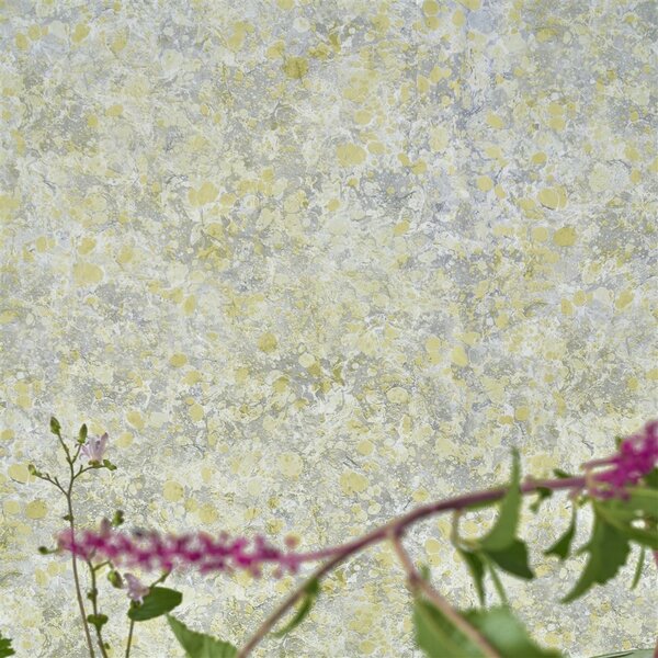 Designers Guild - Lustro Odstín tapety: Peat