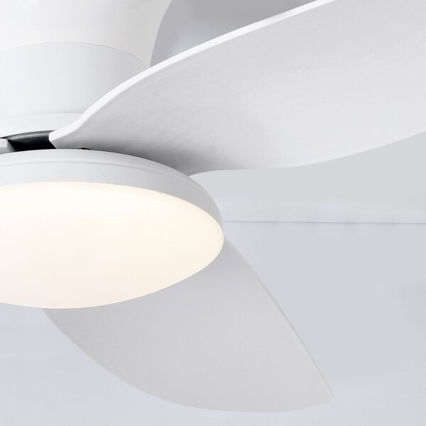 Brilagi - LED Stmívatelný stropní ventilátor LED/30W/230V 3000-6500K bílá + DO
