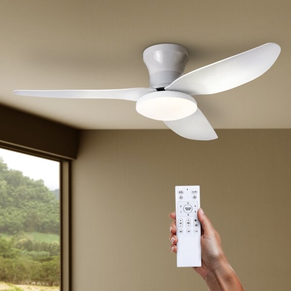 Brilagi - LED Stmívatelný stropní ventilátor LED/30W/230V 3000-6500K bílá + DO
