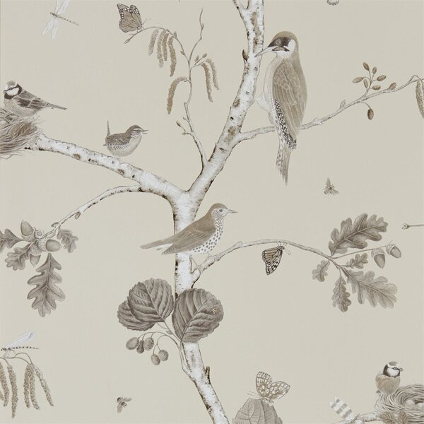 Sanderson Tapeta Woodland Chorus, kolekce Woodland Walk tapet Sanderson: Indigo/Ecru