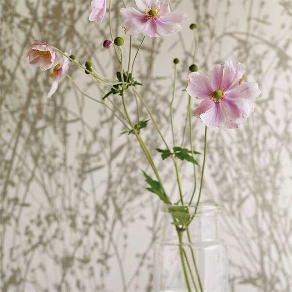Sanderson Tapeta Meadow Canvas, kolekce Woodland Walk tapet Sanderson: Gilver/Linen