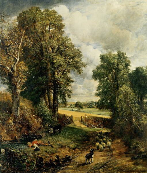 Obrazová reprodukce The Cornfield, 1826, John Constable