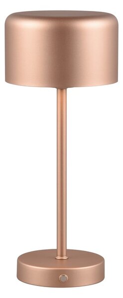 LED stmívatelná stolní lampa v měděné barvě (výška 30 cm) Jeff – Reality
