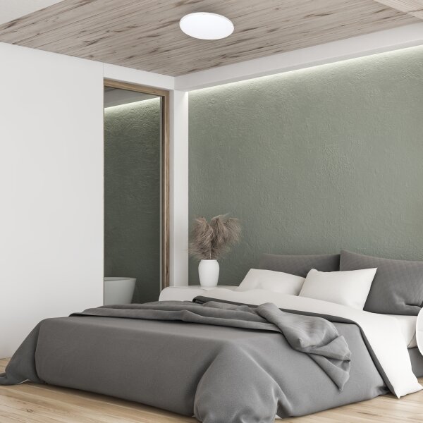 LED Stmívatelné stropní svítidlo s dálkovým ovladačem SIENA LED/25W/230V