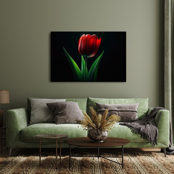 Obraz červená tulipánová elegance
