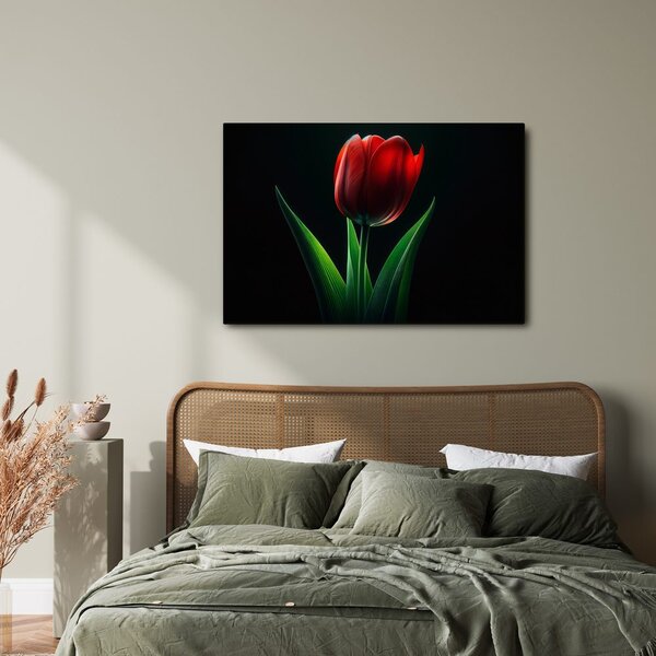 Obraz červená tulipánová elegance