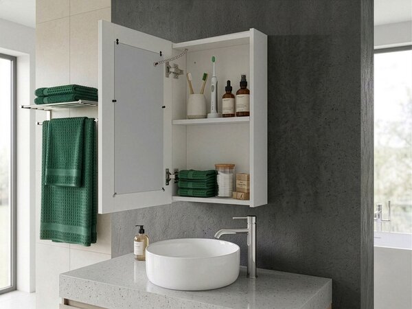 Nástěnná zrcadlová skříňka do koupelny LED CAMERON 40 cm x 60 cm Bílá
