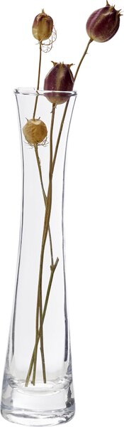 VÁZA, sklo, 23 cm Ambia Home - Skleněné vázy