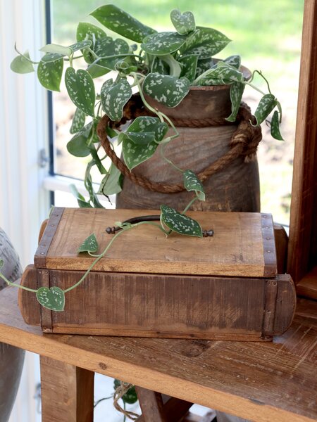 Chic Antique Dřevěný box s poklopem Chic