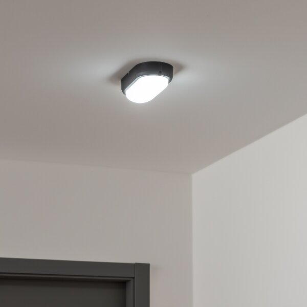 Brilagi - LED Stropní průmyslové svítidlo SIMA LED/12W/230V IP65 černá