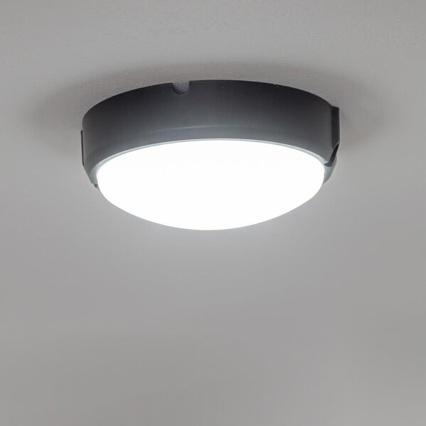 Brilagi - LED Stropní průmyslové svítidlo SIMA LED/12W/230V IP65 černá