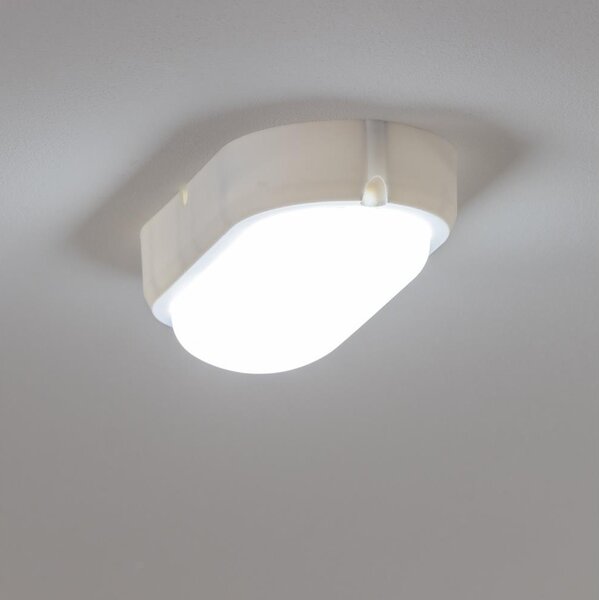 Brilagi - LED Stropní průmyslové svítidlo SIMA LED/12W/230V IP65 bílá