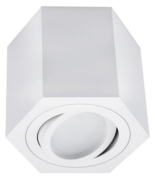 Bodové svítidlo ARENO 1xGU10/30W/230V bílá
